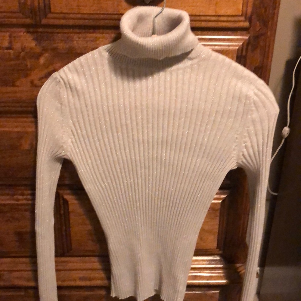 Cotton polyester metallic turtleneck.